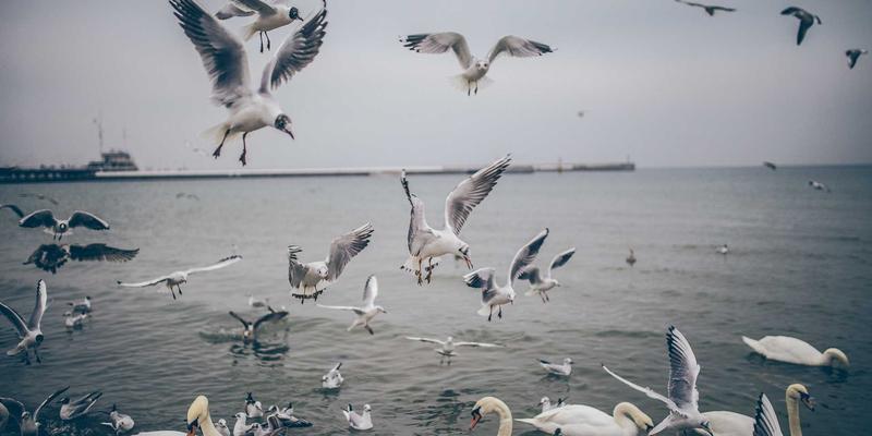 2024年网络技术趋势解析：编程开发者的前沿指南