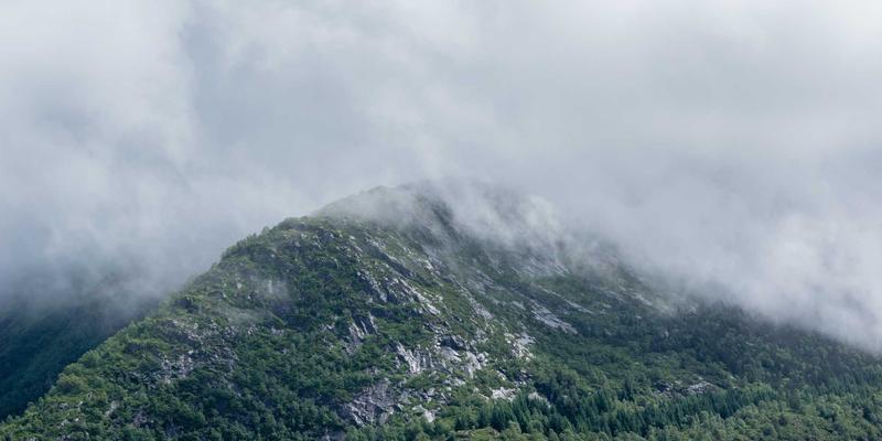 从Netflix微服务架构看现代网络技术的演进与实践