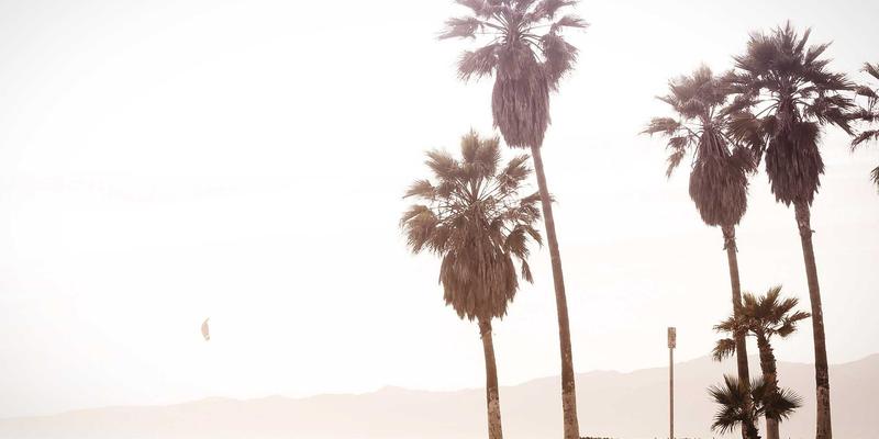 基于意图的网络（IBN）：网络技术与开源项目驱动的智能化运维革命