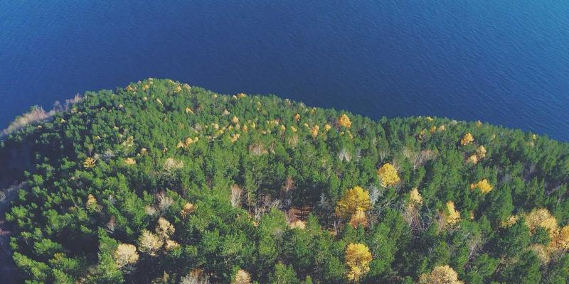 开源项目、IT教程与资源分享：网络技术常见问题一站式解决指南