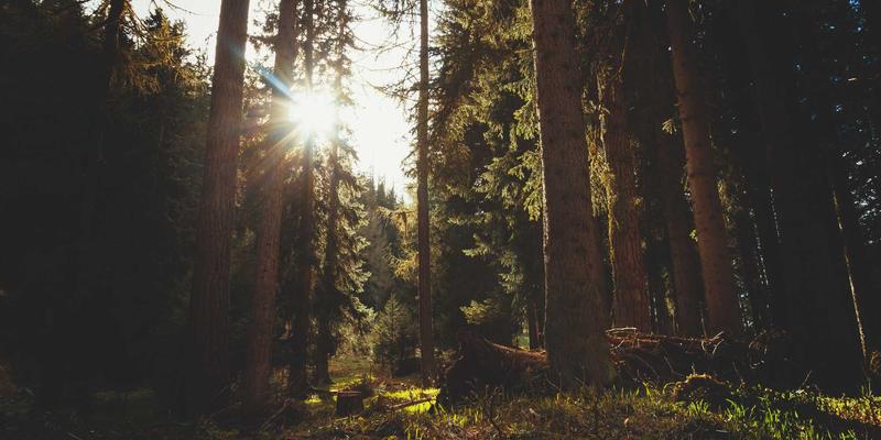 深度解析QUIC协议：为何HTTP/3将重塑未来网络应用开发 | 技术博客与网络技术教程