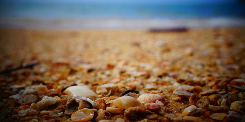 网络技术11：编程开发者的资源宝库与实战指南