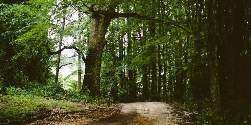 网络技术30：资源分享、技术博客与编程开发的黄金三角