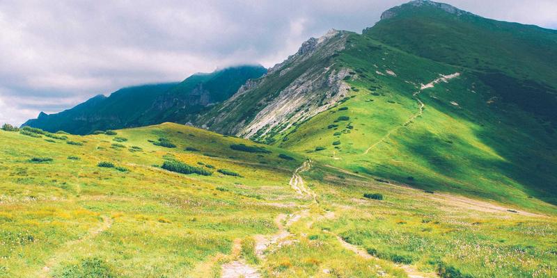 网络技术60：编程开发者的资源宝库与进阶指南