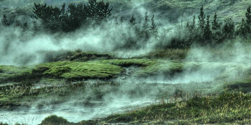 网络技术95:从技术博客到编程开发,如何构建你的IT学习生态