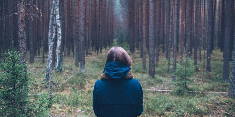 网络技术99:技术博客、IT教程与资源分享的深度探索