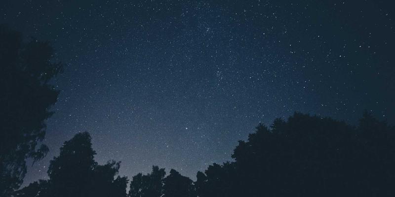 网络技术实战指南:编程开发、资源分享与开源项目高效应用