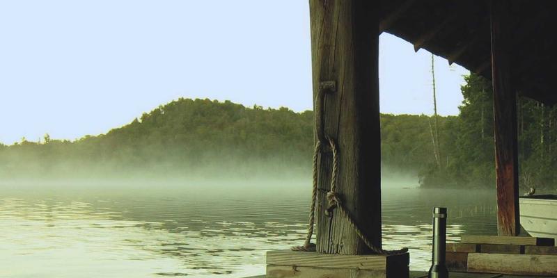 网络技术是什么？从资源分享、开源项目到技术博客的生态全景