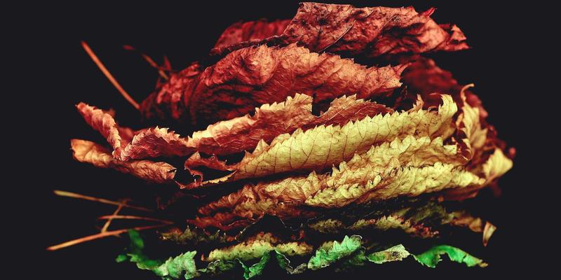 零信任架构实战指南：企业网络安全的现代实施路径与编程开发视角